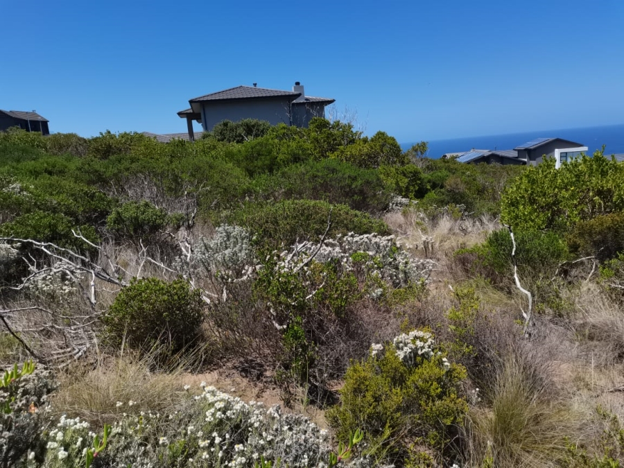 0 Bedroom Property for Sale in Heiderand Western Cape